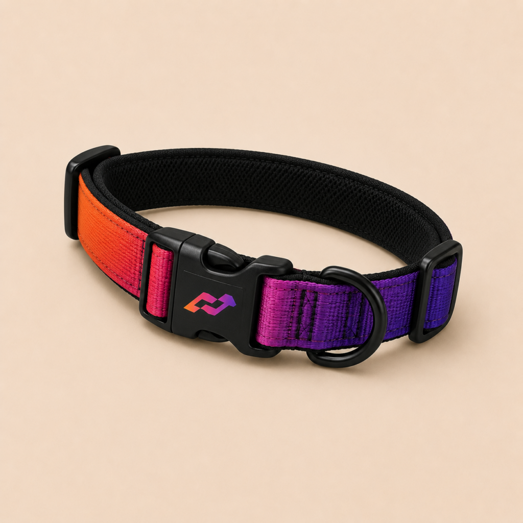 Trail Collar
